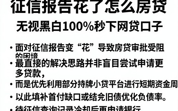 征信报告花了怎么房贷,深入剖析五个无视黑白100%秒下网贷口子
