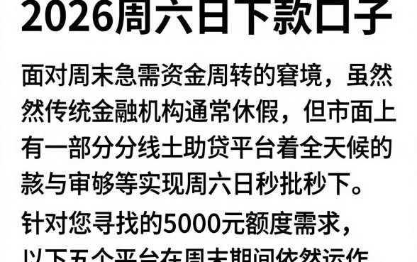 2026周六日下款口子，细致阐述五个无视一切包下款5000秒下款的口子