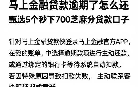 马上金融贷款逾期了怎么还,甄选5个秒下700芝麻分贷款口子