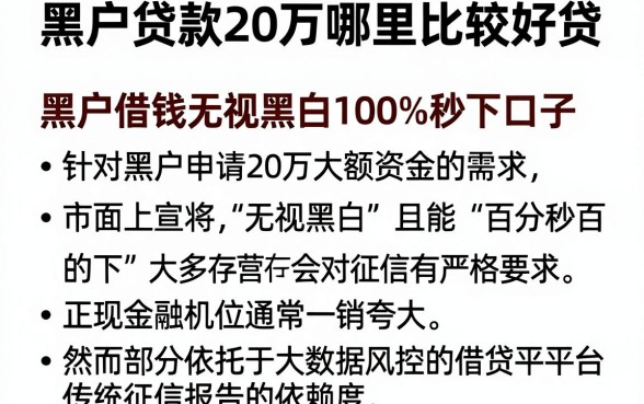 黑户贷款20万哪里比较好贷,梳理五个借钱无视黑白100%秒下口子