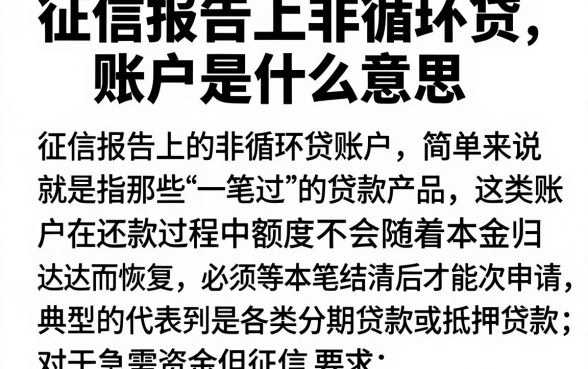 征信报告上非循环贷账户是什么意思,详细阐述5个黑户成功获取大额贷款的软件