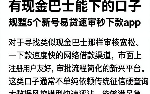 有现金巴士能下的口子，规整5个新号易贷速审秒下款app