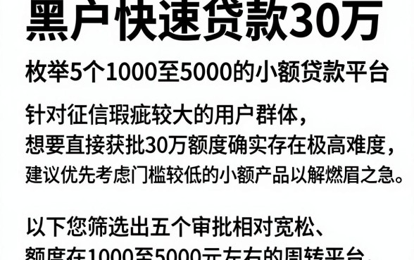 黑户快速贷款30万,枚举5个1000至5000的小额贷款平台