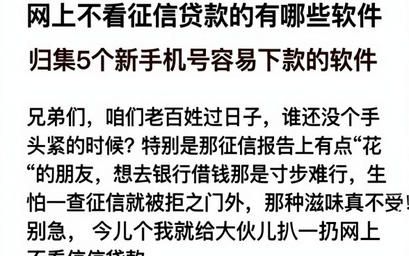 网上不看征信贷款的有哪些软件,归集5个新手机号容易下款的软件