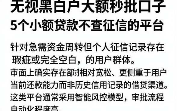 无视黑白户大额秒批口子，详尽说明5个小额贷款不查征信的平台