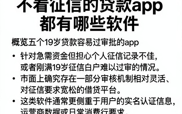 不看征信的贷款app都有哪些软件，概览五个19岁贷款容易过审批的app