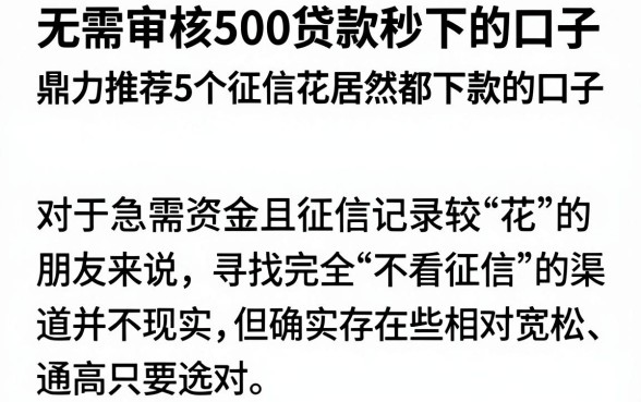 无需审核500贷款秒下的口子,鼎力推荐5个征信花居然都下款的口子