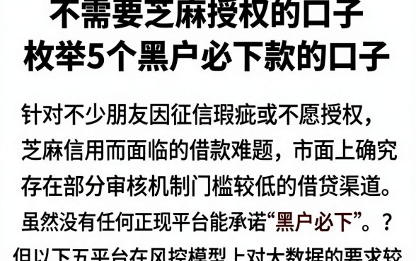 不需要芝麻授权的口子,枚举5个黑户必下款的口子