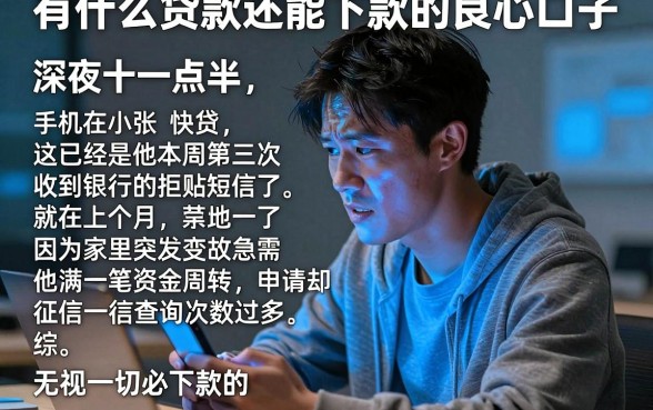 有什么贷款还能下款的良心口子,详尽说明五个无视一切必下款的口子