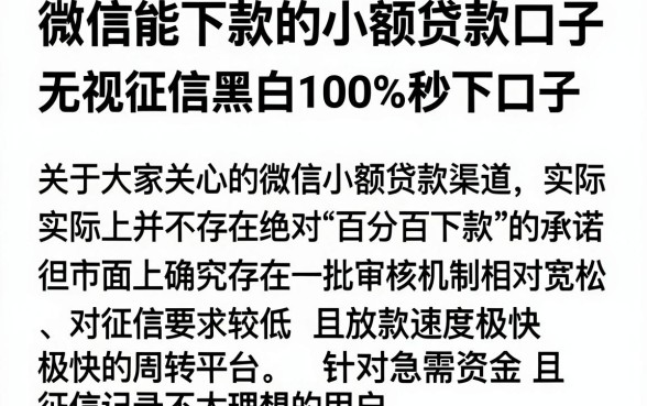 微信能下款的小额贷款口子，概括5个无视征信黑白100%秒下口子