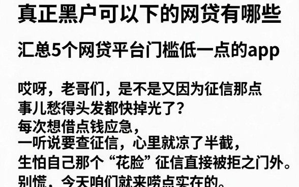 真正黑户可以下的网贷有哪些，汇总5个网贷平台门槛低一点的app
