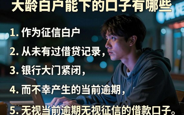 大龄白户能下的口子有哪些,罗列5个无视当前逾期无视征信的借款口子
