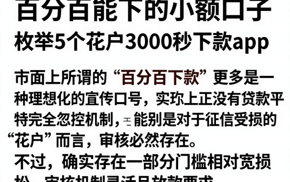 百分百能下的小额口子,枚举5个花户3000秒下款app