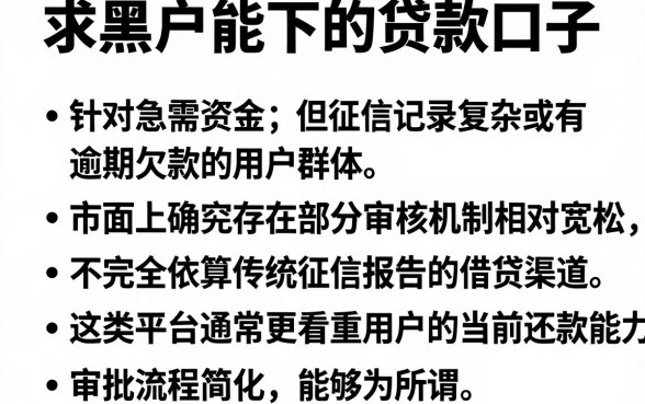 求黑户能下的贷款口子,整合5个不看欠款的贷款软件