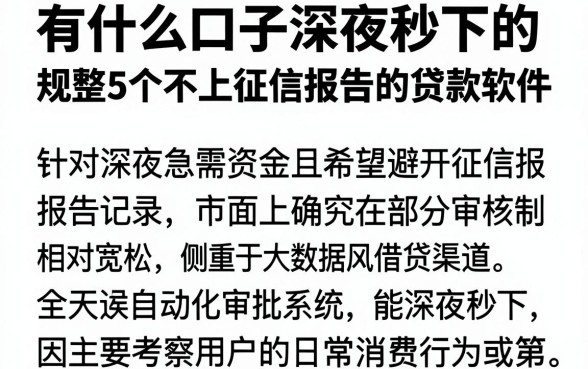 有什么口子深夜秒下的，规整5个不上征信报告的贷款软件