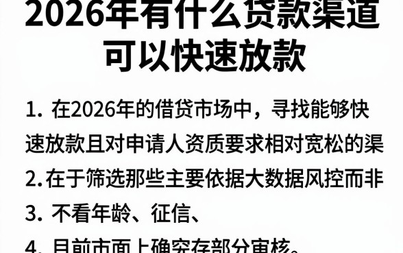2026年有什么贷款渠道可以快速放款,归纳五个不看年龄征信负债的平台