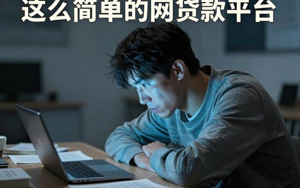 这么简单的网贷款平台，枚举五个不审核夜间直接放款的网贷平台