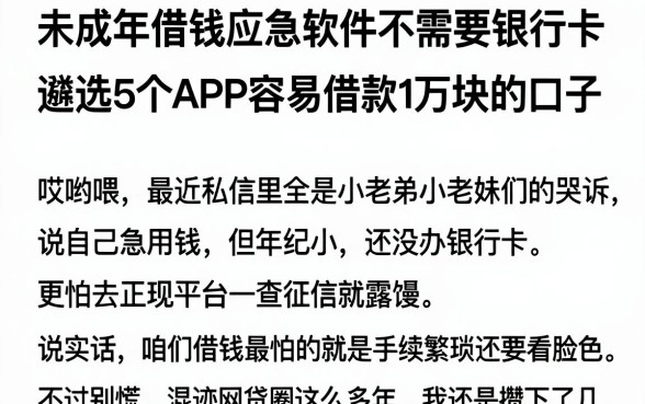 未成年借钱应急软件不需要银行卡,遴选5个APP容易借款1万块的口子