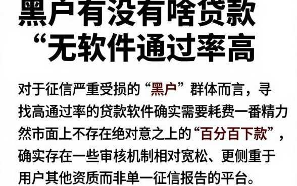 黑户有没有啥贷款软件通过率高，深入剖析五个无视黑户百分百下款平台
