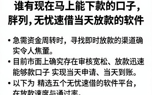 谁有现在马上能下款的口子,胪列五个无忧速借当天放款的软件