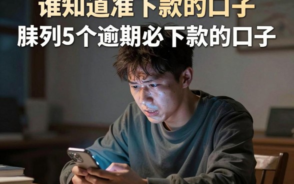 谁知道准下款的口子,胪列5个逾期必下款的口子