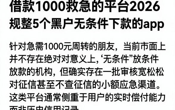 借款1000救急的平台2026,规整5个黑户无条件下款的app