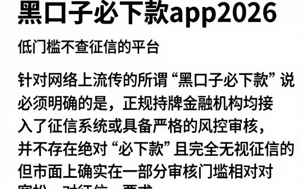 黑口子必下款app2026,概览五个低门槛不查征信的平台