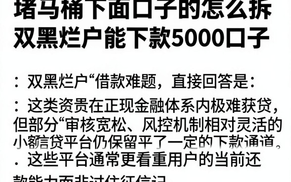 堵马桶下面口子的塑料片怎么拆,汇总五个双黑烂户风控能下款5000口子