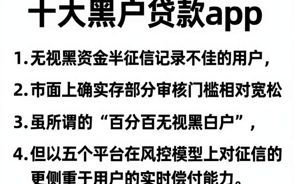 十大黑户贷款app,条列五个无视黑花半夜下款的网贷app