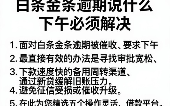 白条金条逾期说什么下午必须解决,罗列五个轻松借款无压力app