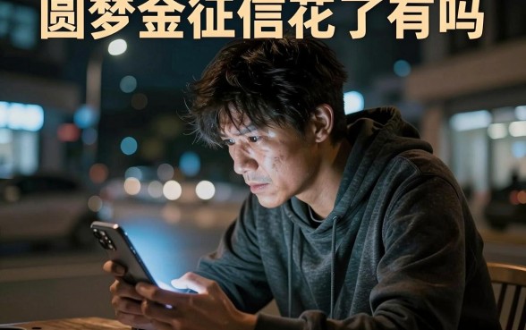 圆梦金征信花了有吗,整合5个黑户能下款的口子