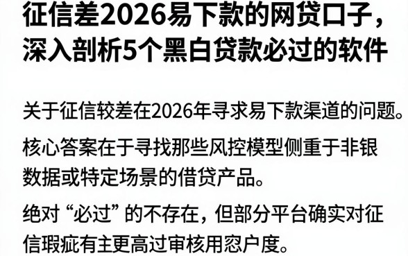 征信差2026易下款的网贷口子，深入剖析5个黑白贷款必过的软件