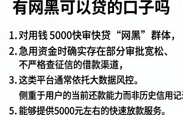有网黑可以贷的口子吗,胪列5个急用钱5000快审快贷无需征信软件