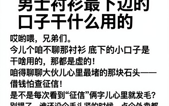 男士衬衫最下边的口子干什么用的，详细阐述五个正规不看征信的小额贷款口子
