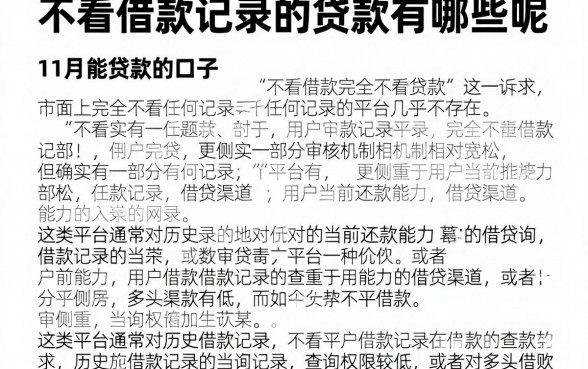不看借款记录的贷款有哪些呢，详细阐述五个11月能贷款的口子