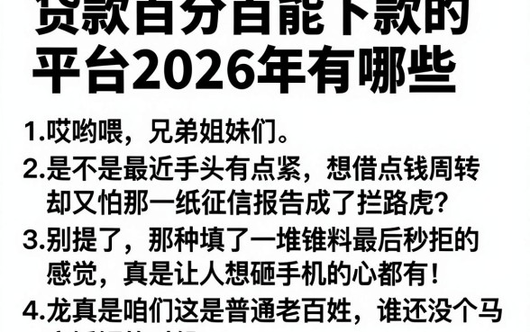 贷款百分百能下款的平台2026年有哪些,归纳5个新上线贷款平台门槛低平台