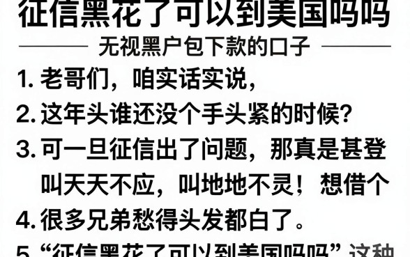征信黑花了可以到美国吗吗，详细阐述5个无视黑户包下款的口子