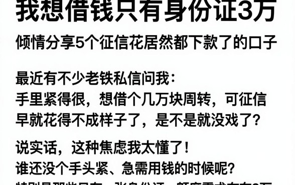 我想借钱只有身份证3万，倾情分享5个征信花居然都下款了的口子