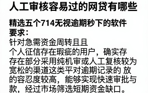 人工审核容易过的网贷有哪些,精选五个714无视逾期秒下的软件