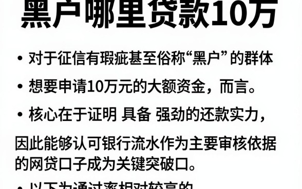 黑户哪里贷款10万,详尽说明五个看银行流水的网贷软件