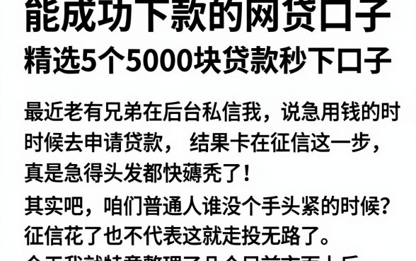 能成功下款的网贷口子,精选5个5000块贷款秒下口子
