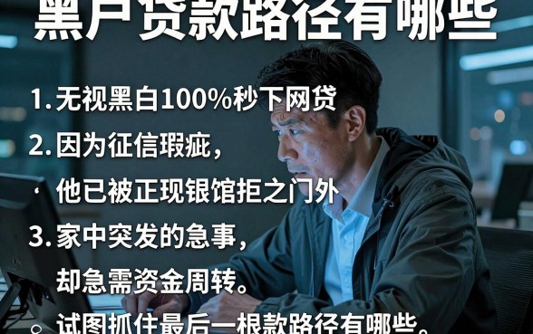 黑户贷款路径有哪些,整理五个无视黑白100%秒下网贷小额夜间口子