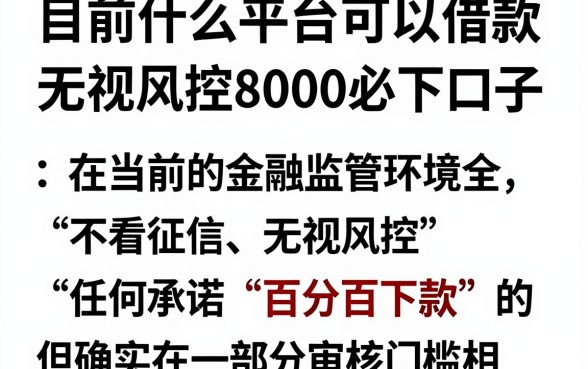 目前什么平台可以借款,归纳五个无视风控8000必下口子