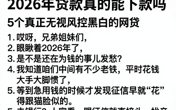 2026年贷款真的能下款吗,整理5个真正无视风控黑白的网贷