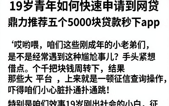19岁青年如何快速申请到网贷,鼎力推荐五个5000块贷款秒下app