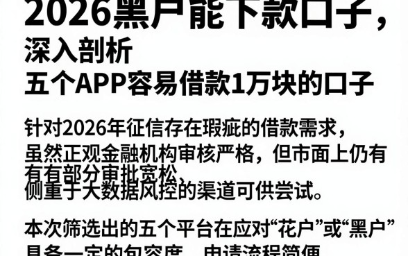 2026黑户能下款口子，深入剖析五个APP容易借款1万块的口子