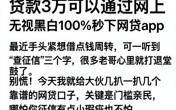 贷款3万可以通过网上,筛选5个无视黑白100%秒下网贷app