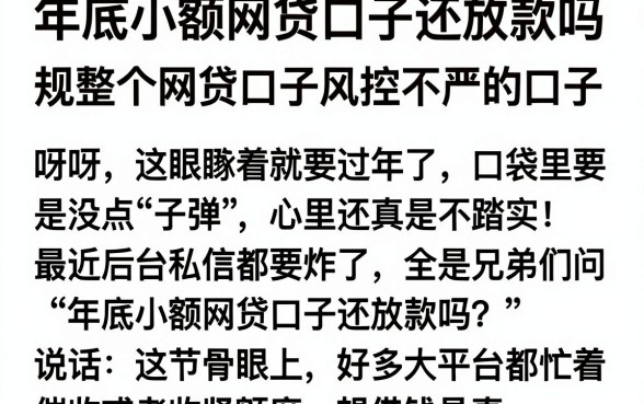 年底小额网贷口子还放款吗,规整五个网贷口子风控不严的口子