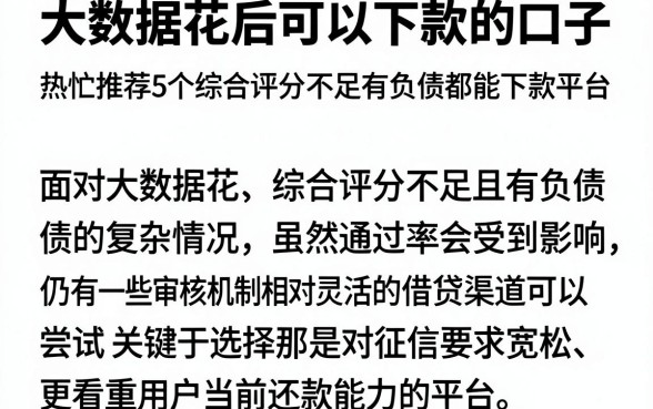 大数据花后可以下款的口子，热忱推荐5个综合评分不足有负债都能下款平台