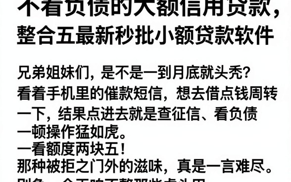不看负债的大额信用贷款,整合五个最新秒批小额贷款软件